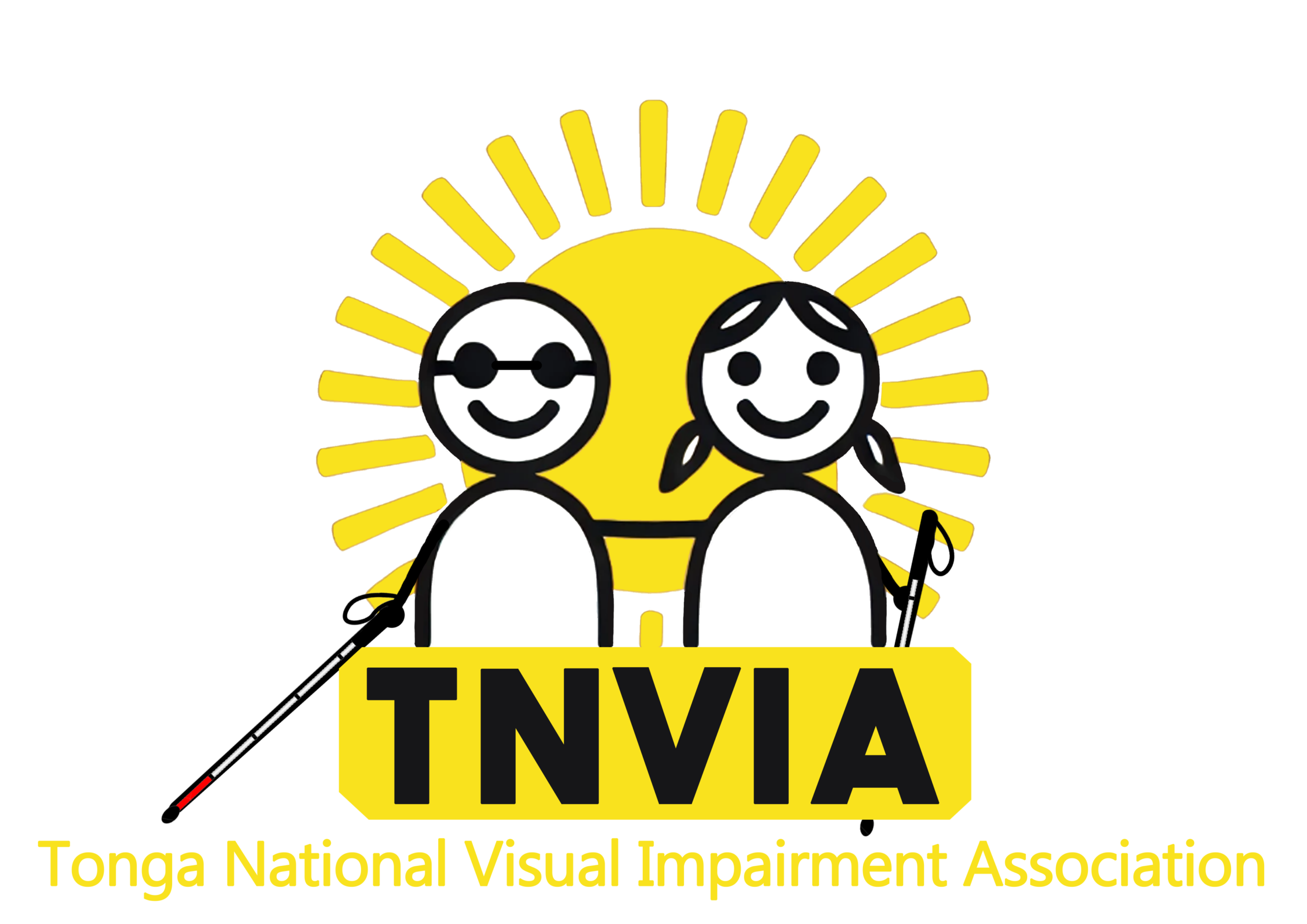 TNVIA logo official
